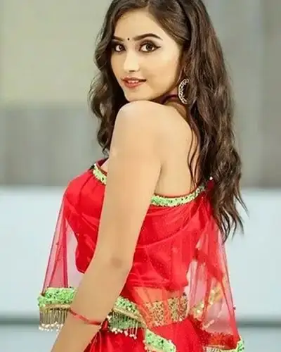 Call Girls Service Jhagadia